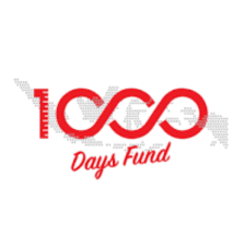 Patners 100 days fund